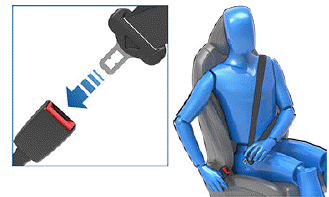 Seat Belts