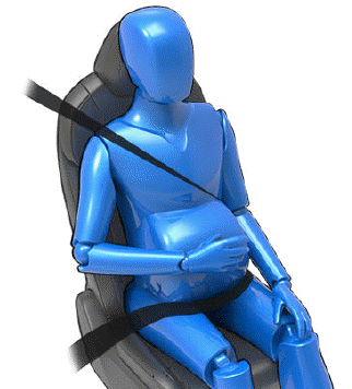 Seat Belts